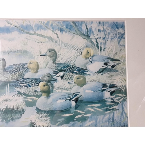 540 - Original watercolour paintings including a limited edition print of Wigeon by CF Tunnicliffe, 65 x 5... 