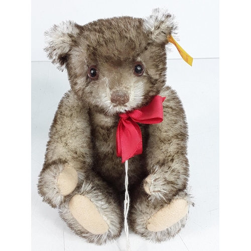 556 - Boxed collectable Steiff bear