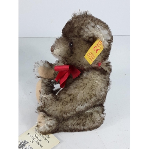 556 - Boxed collectable Steiff bear