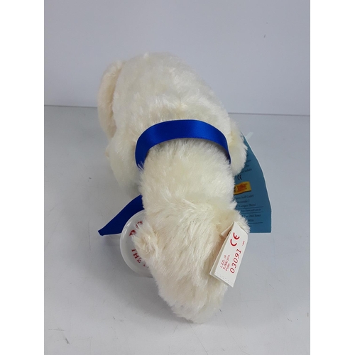 557 - Boxed collectable Steiff Polar bear