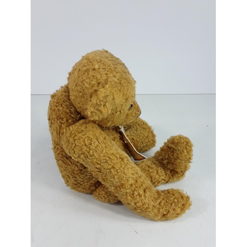 561 - Higgys 'Joshua' collectable jointed bear