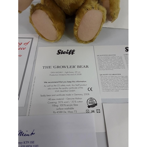 563 - 2008 collectable Steiff bear