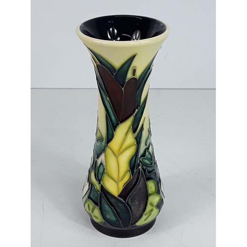 647 - Boxed Moorcroft vase, Bullrush pattern