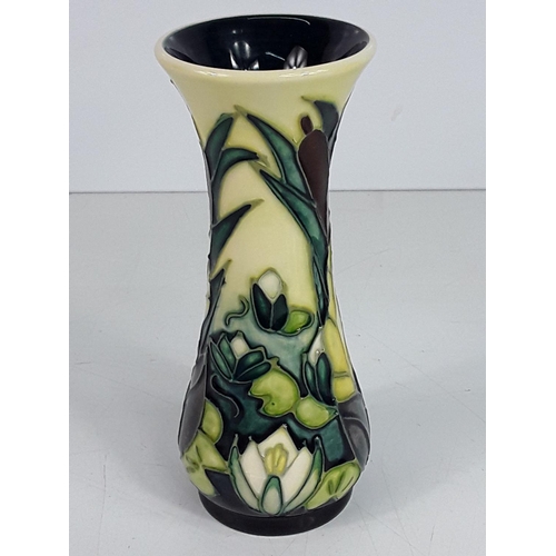 647 - Boxed Moorcroft vase, Bullrush pattern