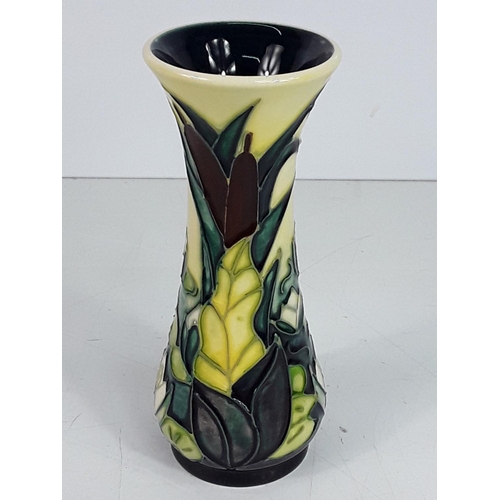 647 - Boxed Moorcroft vase, Bullrush pattern