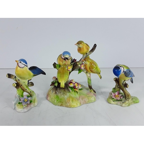 741 - 3 Royal Adderley birds