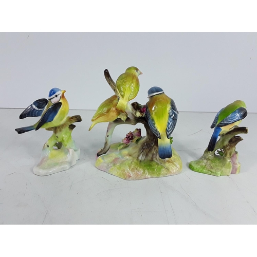 741 - 3 Royal Adderley birds