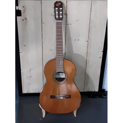 547 - Spanish guitar on stand, instruction book, DVD, tuner and pics