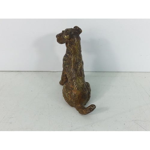 480 - Cold painted cast Bronze figure of a Terrier