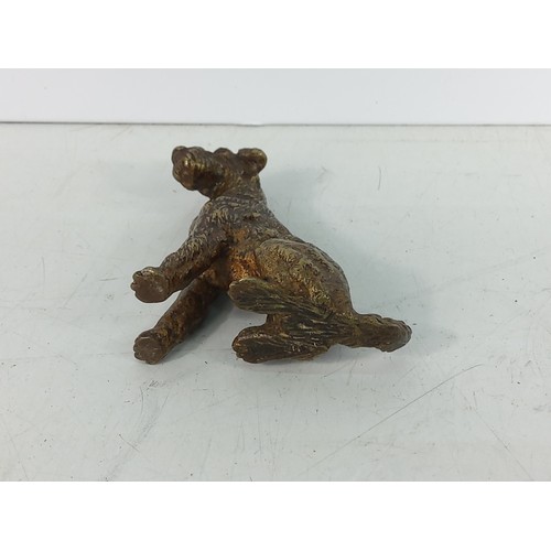 480 - Cold painted cast Bronze figure of a Terrier