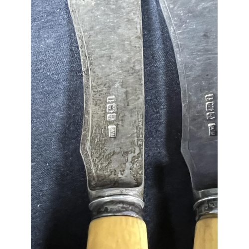 77 - 8 silver bladed fish knives with bone handles