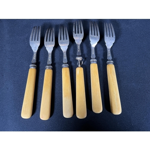 76 - 6 silver bladed forks with bone handles