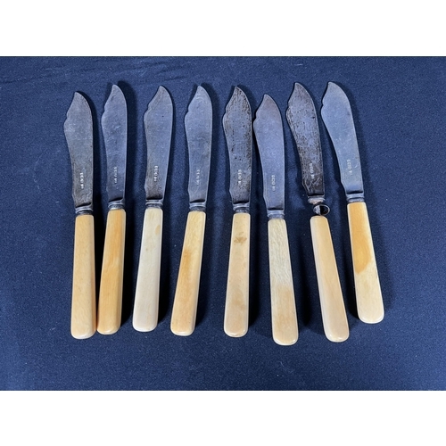 77 - 8 silver bladed fish knives with bone handles