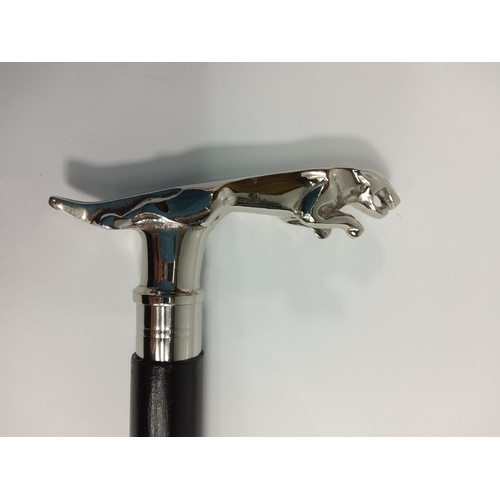35 - Jaguar topped walking stick