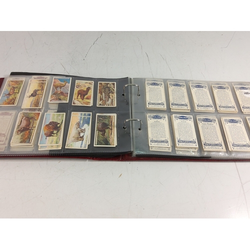 Lot 135       