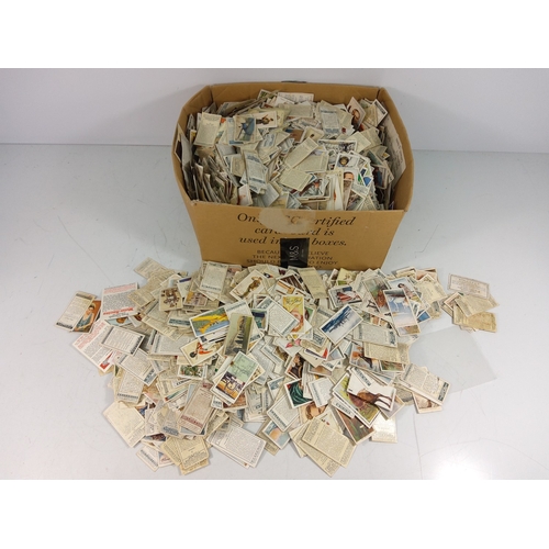 Lot 146       
