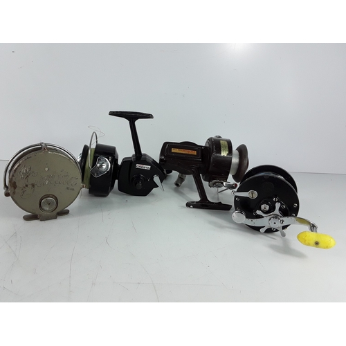 Lot 50        