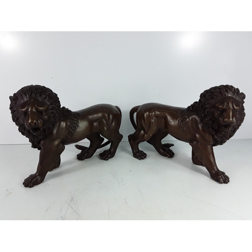 Lot 56        