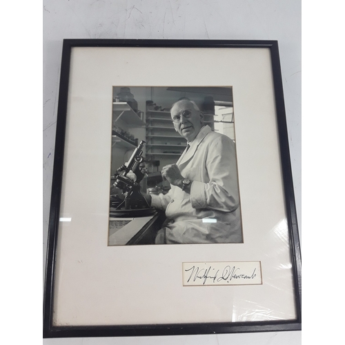 132 - 1920's anatomical skeleton and a signed surgeons photograph, 170cms in height