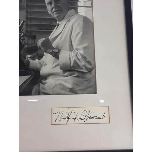 132 - 1920's anatomical skeleton and a signed surgeons photograph, 170cms in height