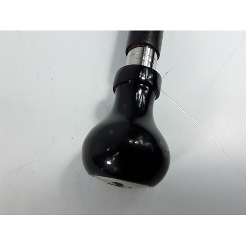 19 - Ferrari topped walking stick