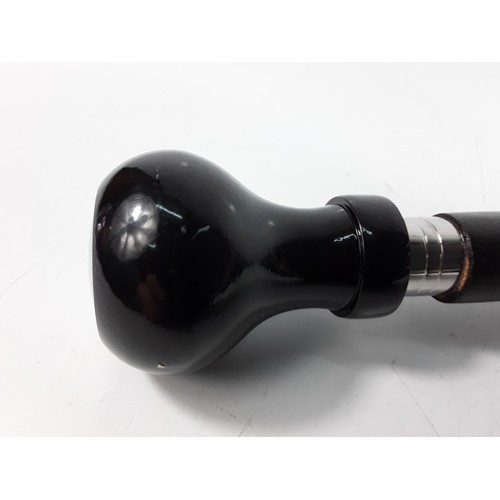 19 - Ferrari topped walking stick