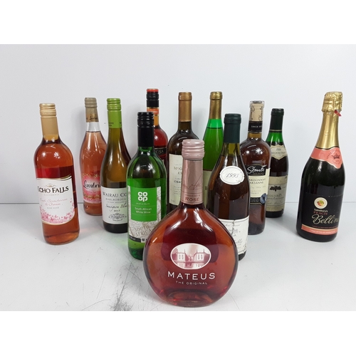 Lot 13        