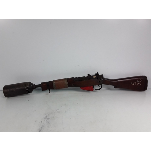 Lot 124       