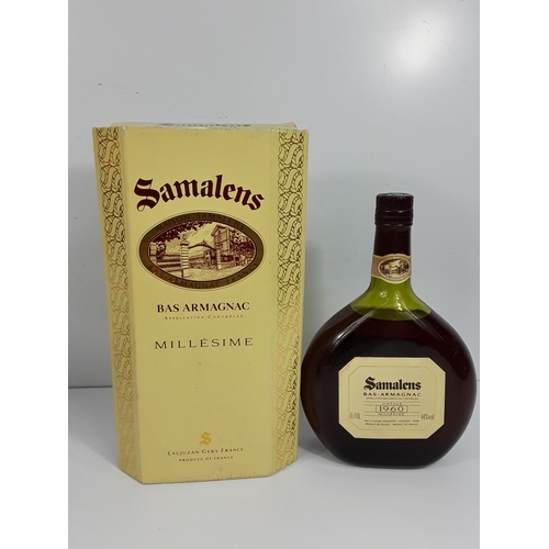 Lot 35        