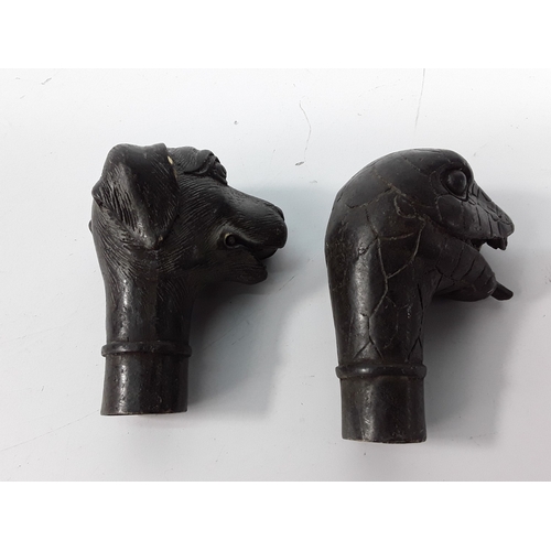 Lot 59        
