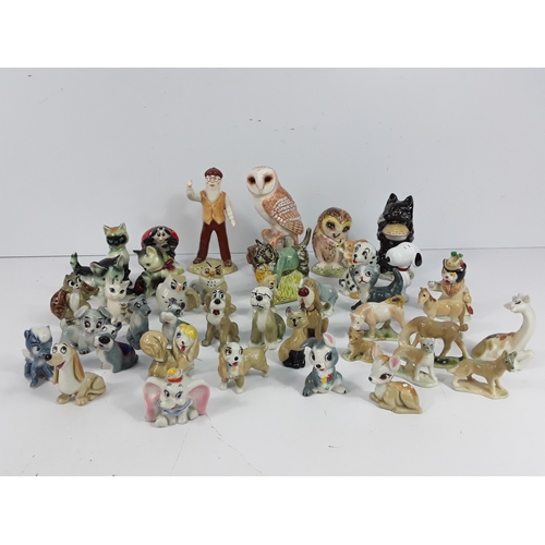 Lot 11        
