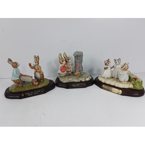 Lot 6         