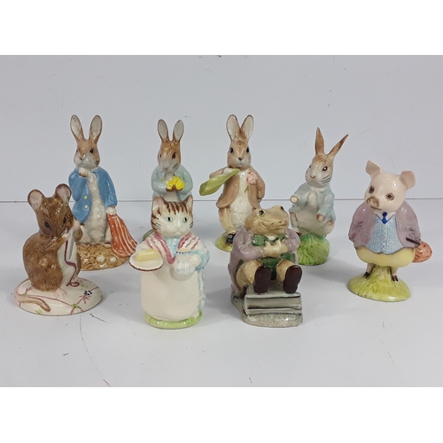 Lot 5         