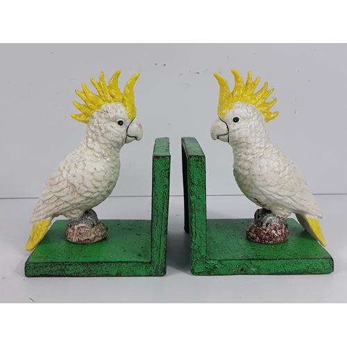Lot 34        
