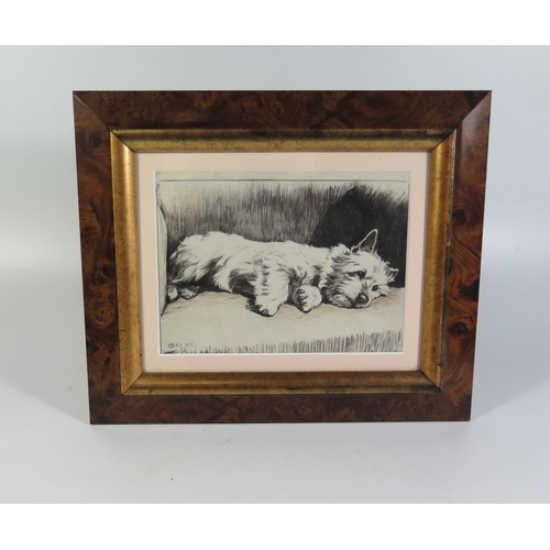 408 - Cecil Aldin, Sketch of Recumbent Scottie, pencil, framed and glazed, 19 x 14cm *PHONE BID*