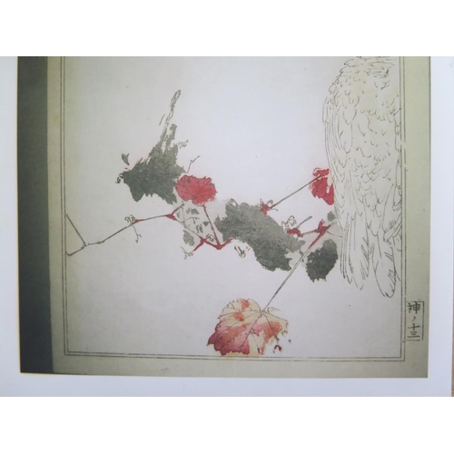 466 - A Chinese? Picture of A Bird on Branch, signed, 20 x 14cm, framed and glazed