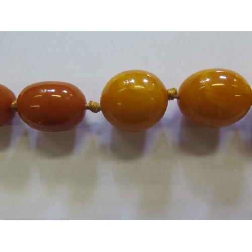 255 - An Amber Bead Necklace, 151.6g, largest bead 28 x 22mm