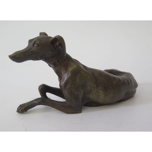 559 - A Bronze Model of a Recumbent Greyhound, 15.5cm long