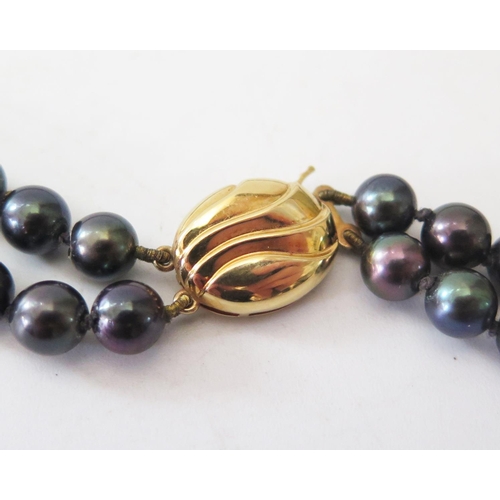 122 - A Two Strand Black Pearl Necklace with 18ct yellow gold clasp, c. 41cm, 54.5g