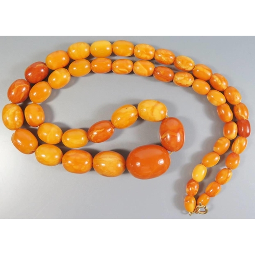 214 - A Graduated Baltic Butterscotch Amber Bead Necklace, largest c. 24 x 17mm, 43.3g