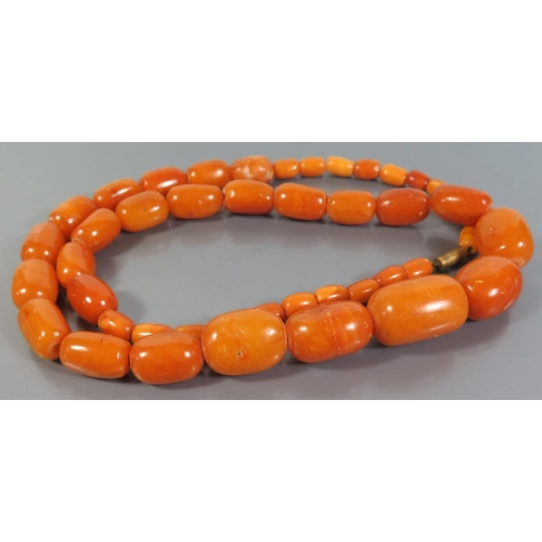 215b - A Large Baltic Butterscotch Amber Bead Necklace, 68.4g, largest bead c. 28 x 20mm