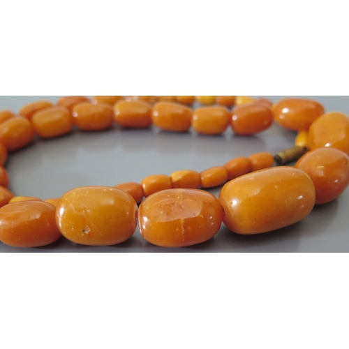 215b - A Large Baltic Butterscotch Amber Bead Necklace, 68.4g, largest bead c. 28 x 20mm