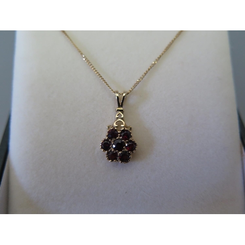 77 - A nine carat gold and garnet pendant on nine carat gold chain