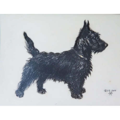 252a - An Original Cecil Aldin Painting of a Black Scottish Terrier on acetate, 18 x 13cm 

*****PHONE BID*... 