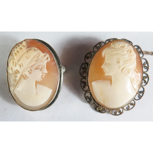 145 - Two Shell Cameo Brooches