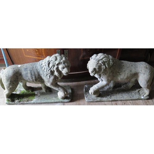 380 - A Large Pair of Reconstituted Stone Garden Lions, 70 cm base (PHONE BID)