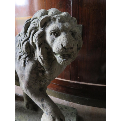 380 - A Large Pair of Reconstituted Stone Garden Lions, 70 cm base (PHONE BID)