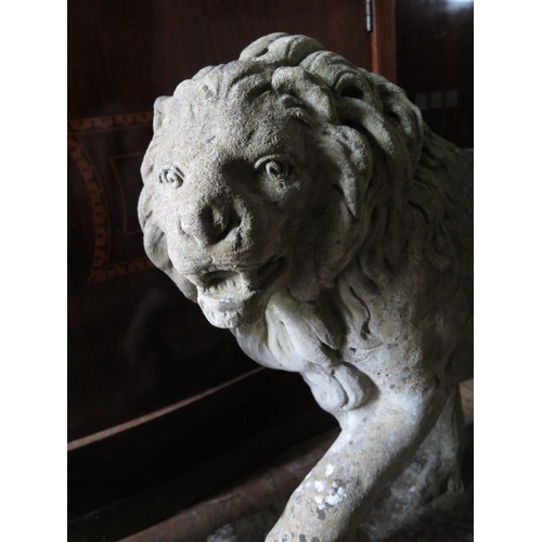 380 - A Large Pair of Reconstituted Stone Garden Lions, 70 cm base (PHONE BID)