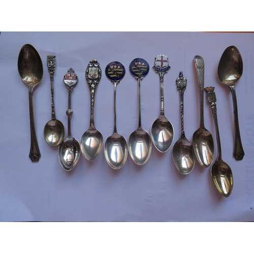 137 - A Selection of Silver and Enamel Collectors and other Teaspoons