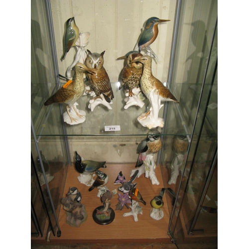 215 - A Collection of Ceramic and Resin Bird Ornaments